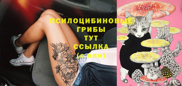 ешки Балахна