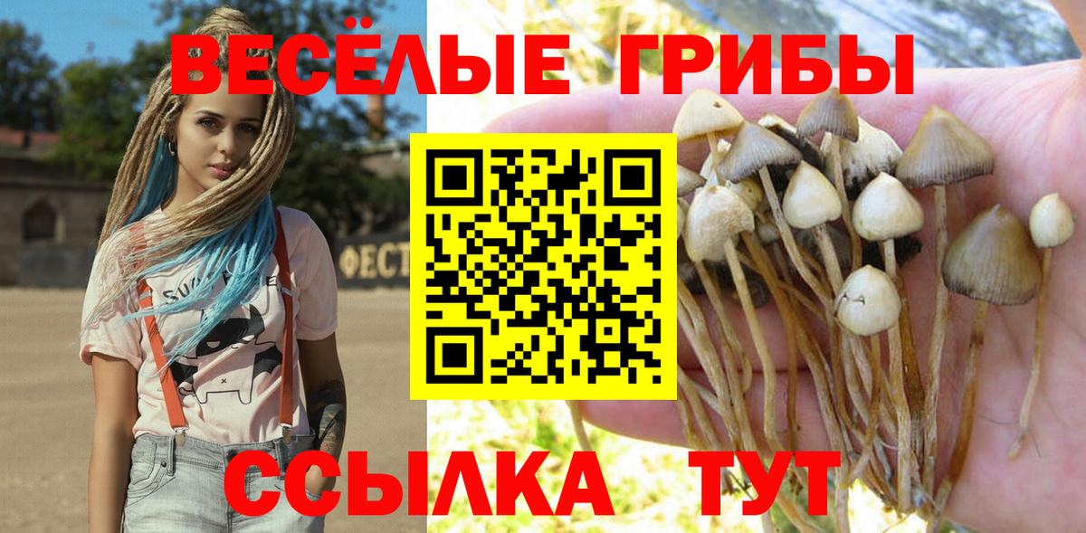 Галлюциногенные грибы прущие грибы Верхняя Пышма